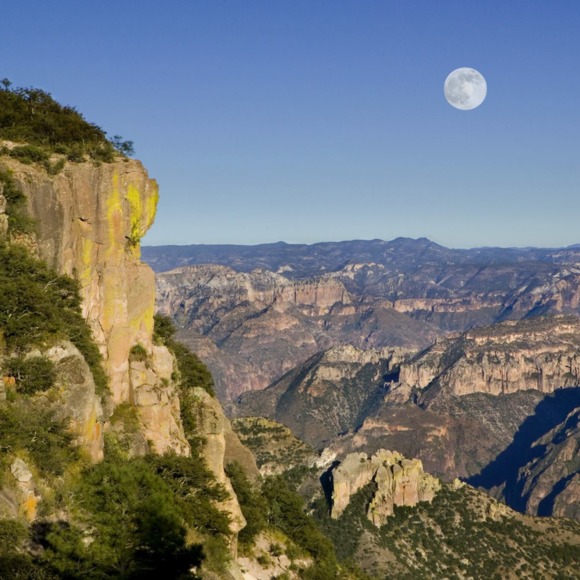 Meet your Posher, Diego - Picture 1 of 1